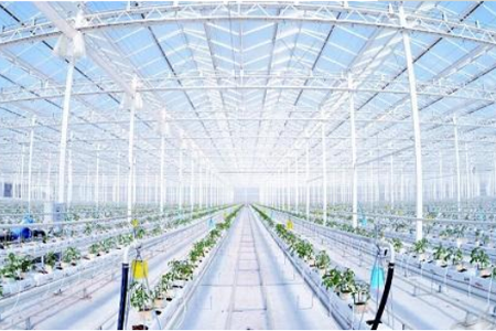 利用物联网技术，补偿传统农业弊端的现代农业，对植株的生长环境需求进行“精确”的定量，对产量进行有效率的制约，对质量更好的把关，农业物联网由感知层、传输层和处理层三部分构成